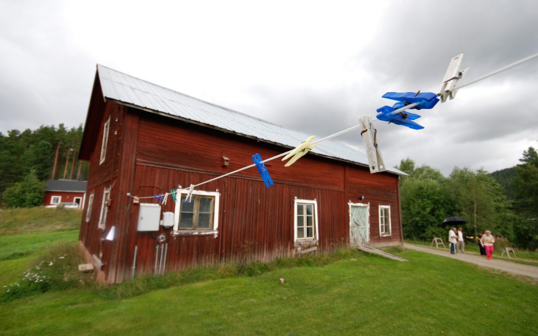 Impress You Swedish Friends With These Top Ten Swedish Insect